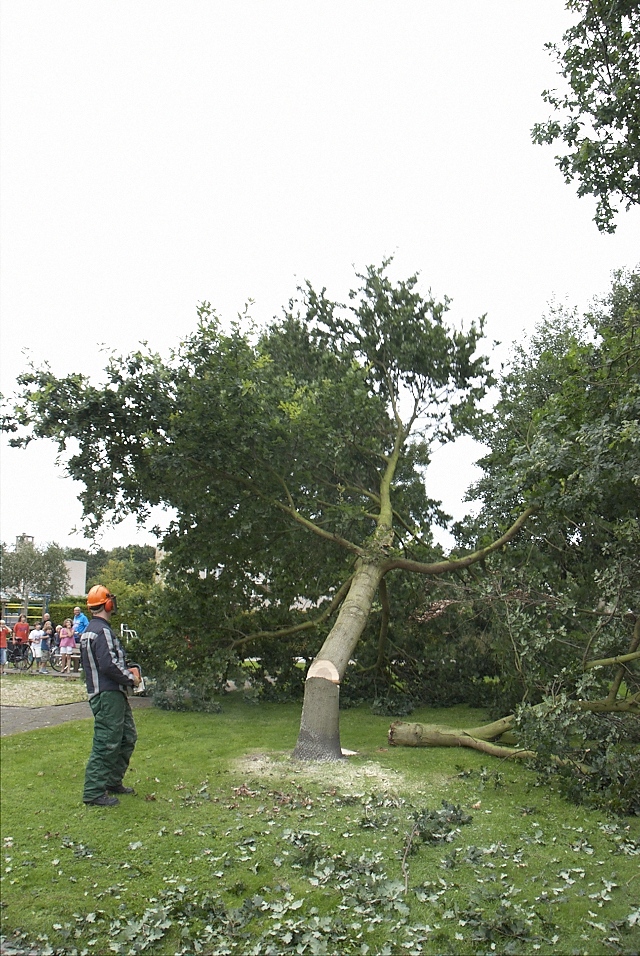 2010/193/GB 20100815 028 Stormschade Pieter Christiaanhof.jpg